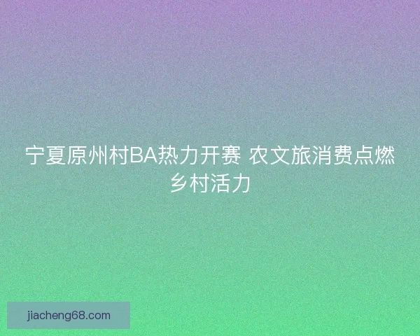 宁夏原州村BA热力开赛 农文旅消费点燃乡村活力