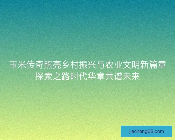 玉米传奇照亮乡村振兴与农业文明新篇章探索之路时代华章共谱未来