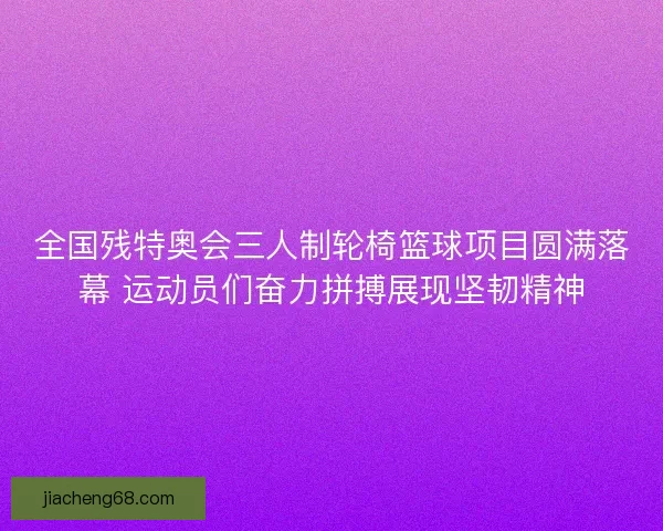 全国残特奥会三人制轮椅篮球项目圆满落幕 运动员们奋力拼搏展现坚韧精神